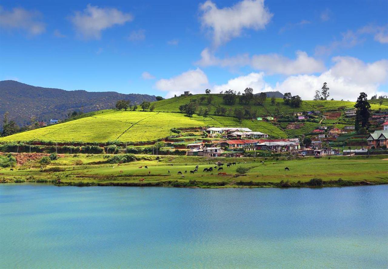 Hill View Bungalow Bed and Breakfast Nuwara Eliya Buitenkant foto